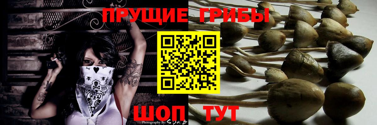 Галлюциногенные грибы ЛСД Арзамас