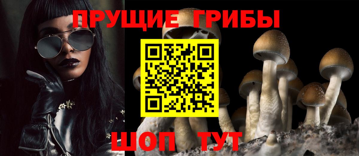 Галлюциногенные грибы MAGIC MUSHROOMS  Вход с VPN  Арзамас 
